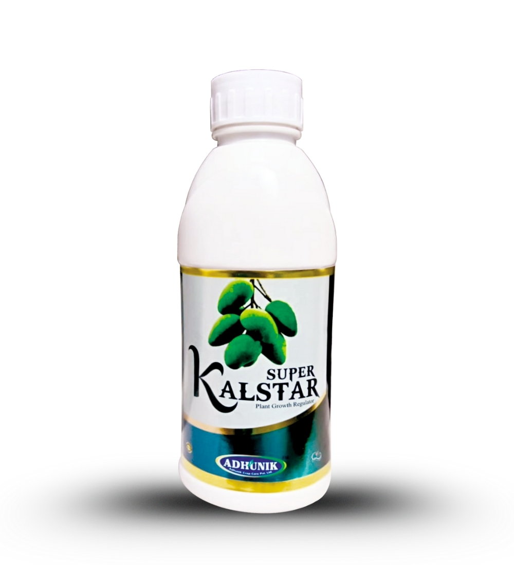 
																																																																																				Super Kalstar