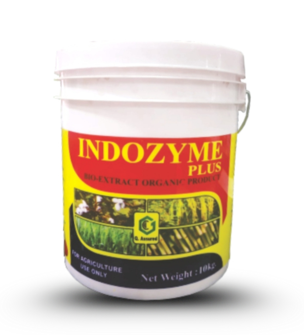 
																																																																																				Indozyme
