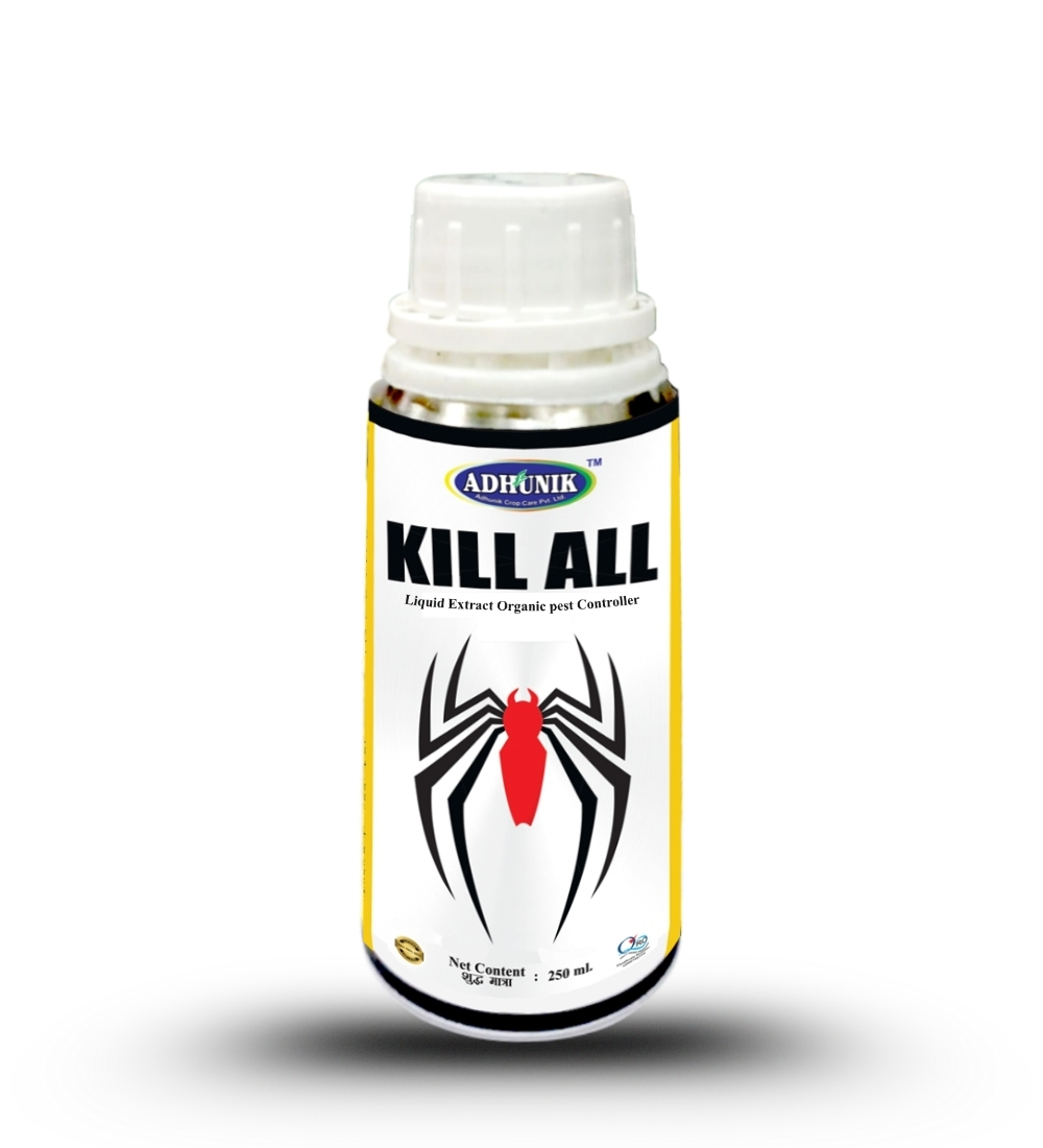 
																																																																																				Kill All