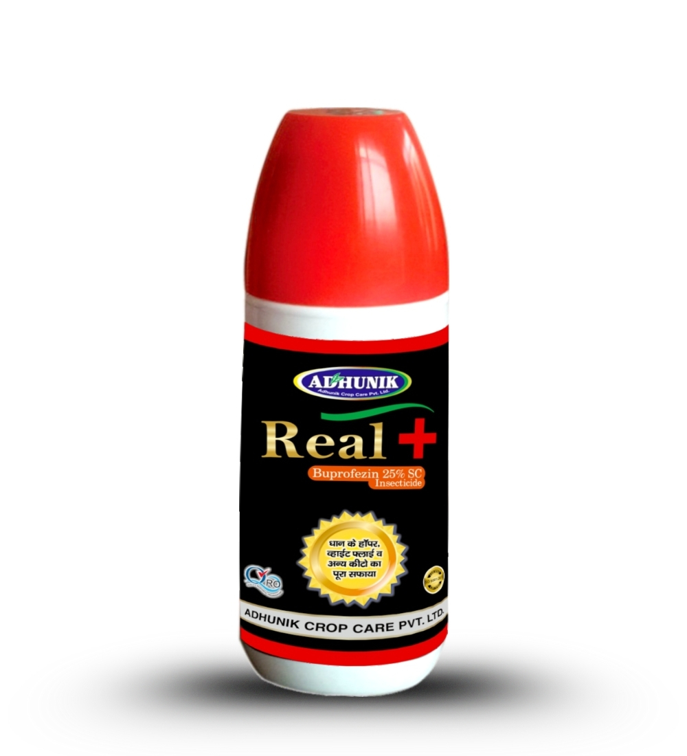 
																																																																																				Real +