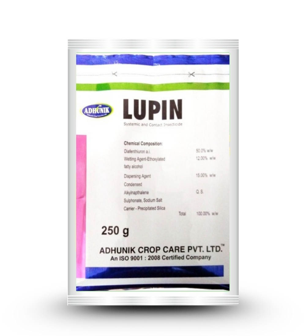 
																																																																																				Lupin