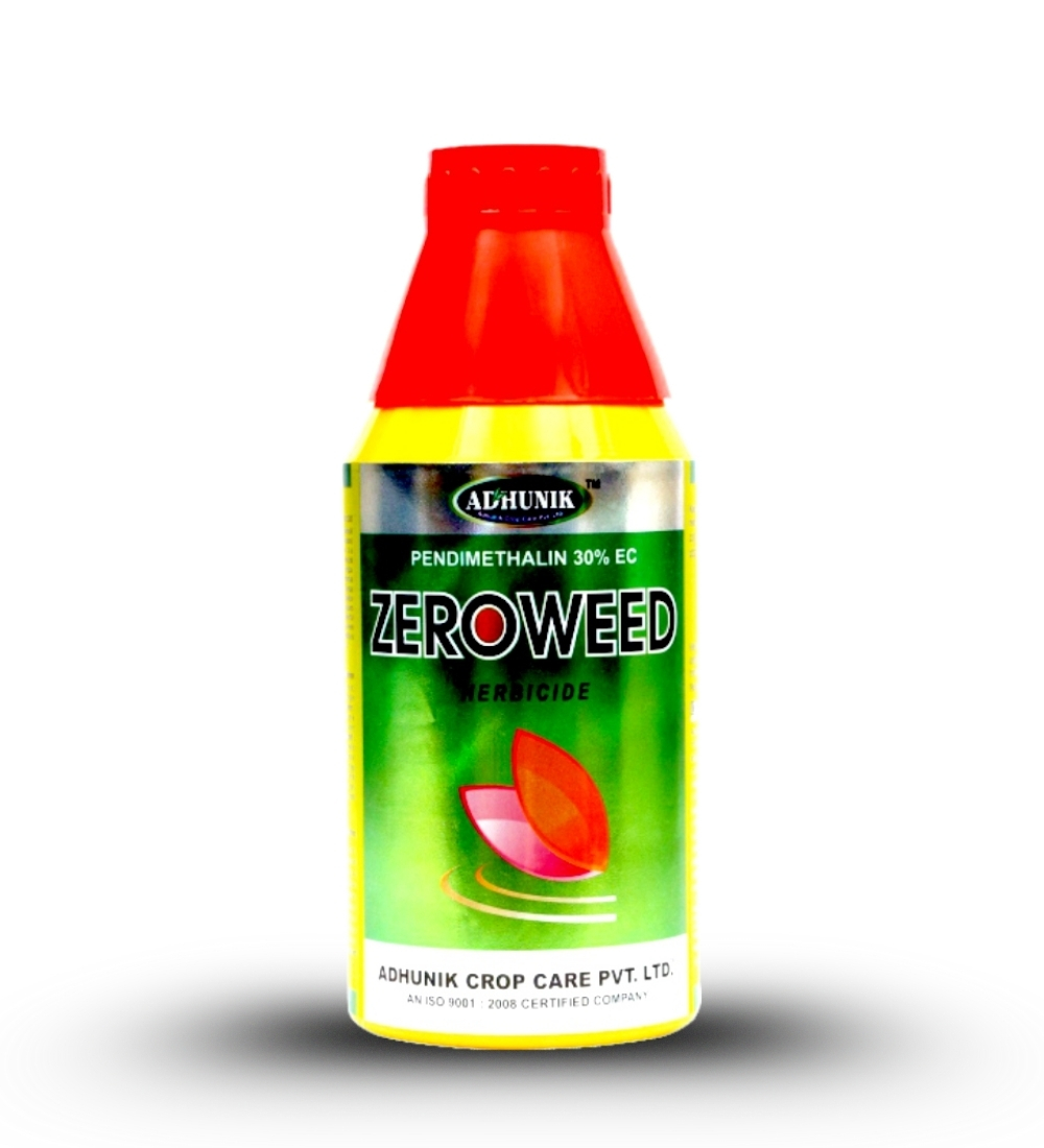 
																																																																																				Zeroweed