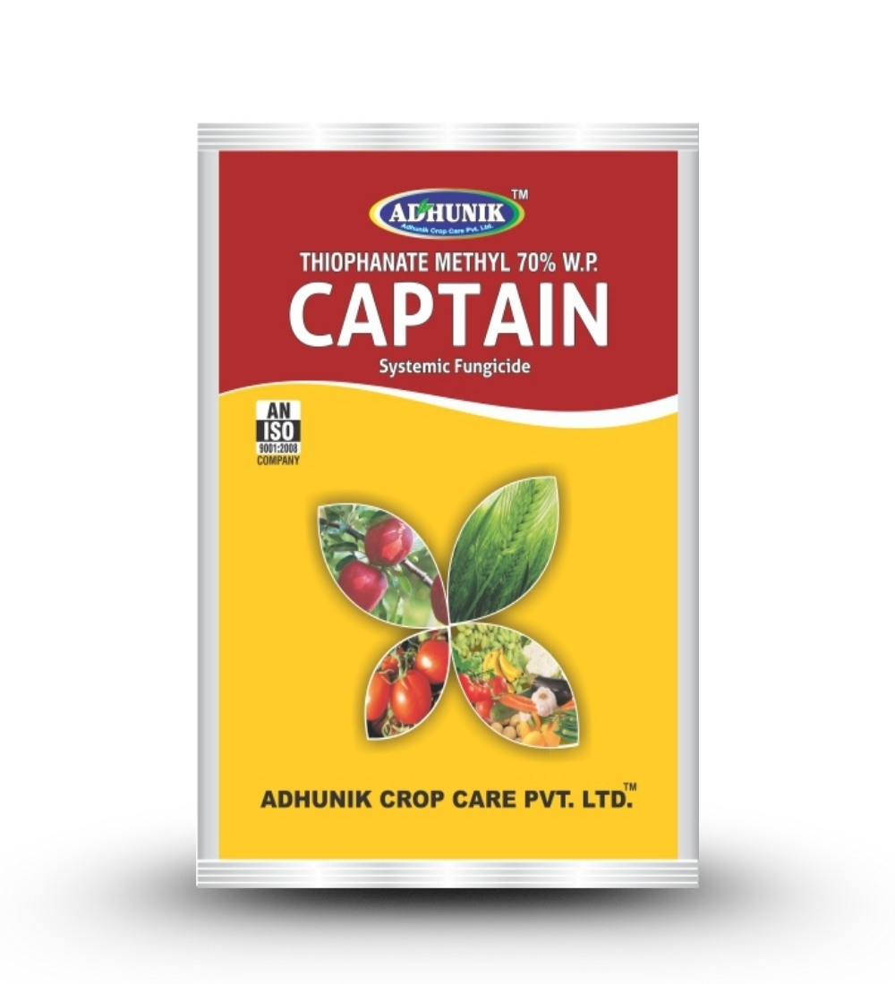 Captain