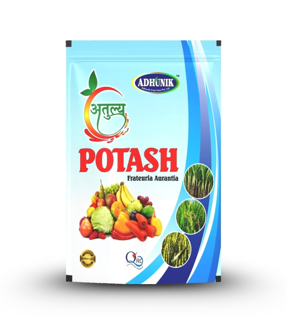 
																																																																																				Atulya Potash