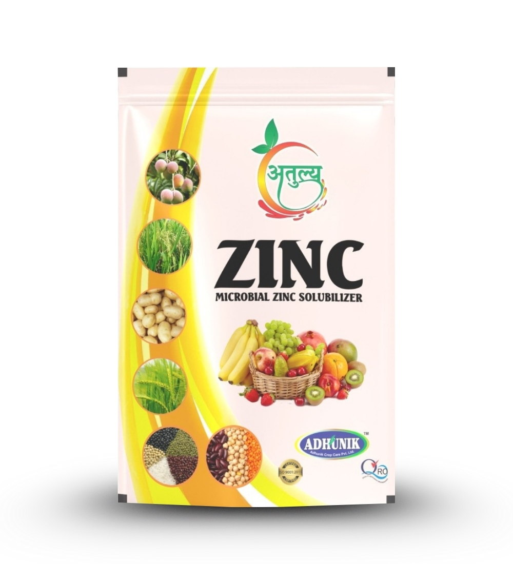 
																																																																																				Atulya Zinc