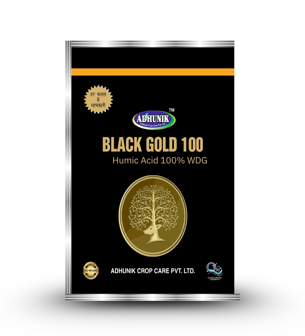
																																																																																				Black Gold