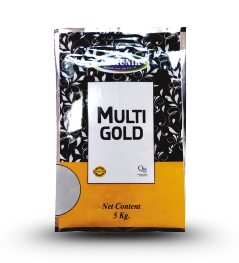 
																																																																																				Multi Gold