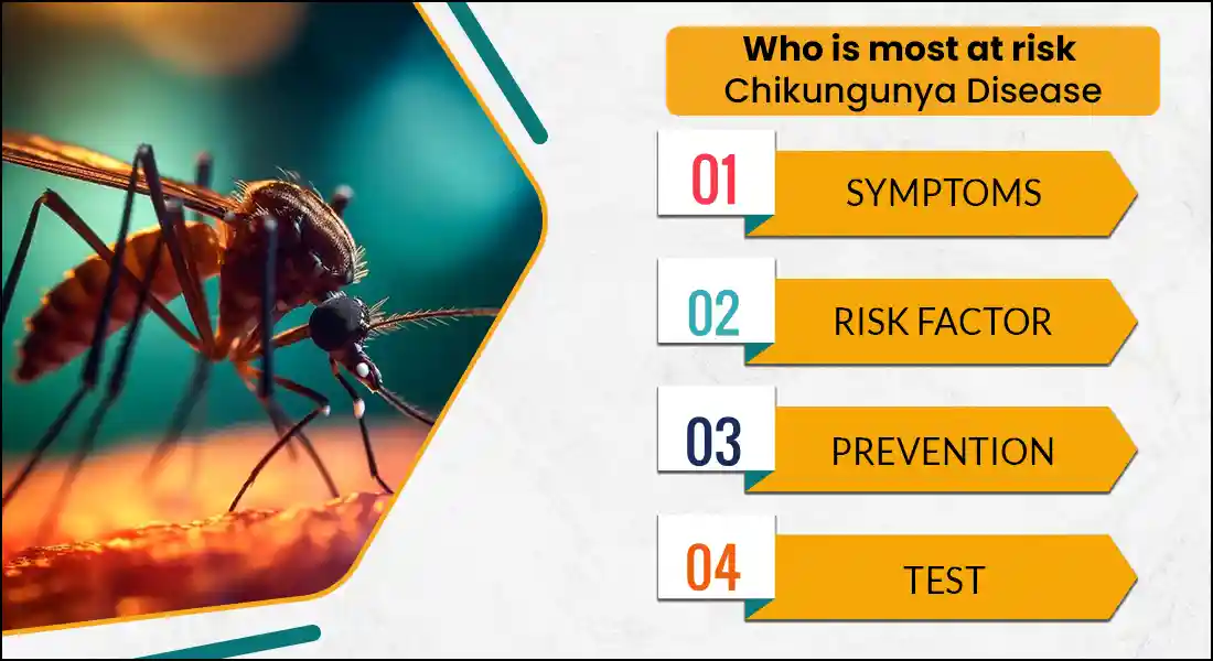 What Is Chikungunya: Its Fever Symptoms, Tests & Treatment