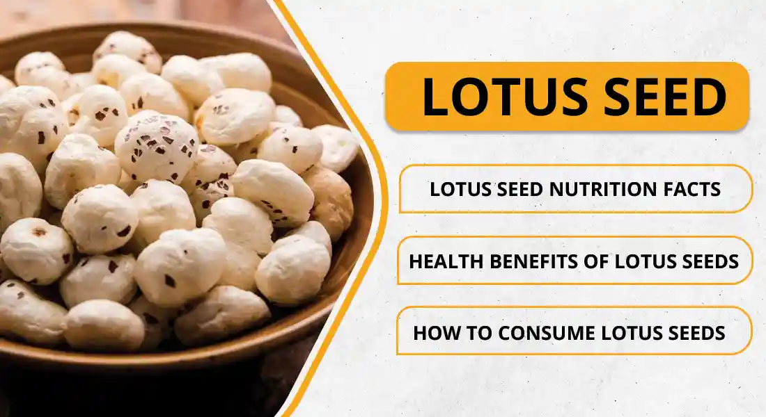 9 Amazing Lotus Seeds Benefits For Your Overall Health