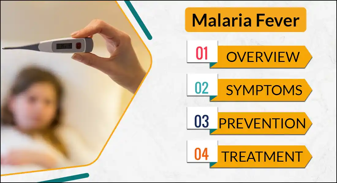 Malaria Fever And Its Symptoms How To Treat And Prevent Malaria Fever