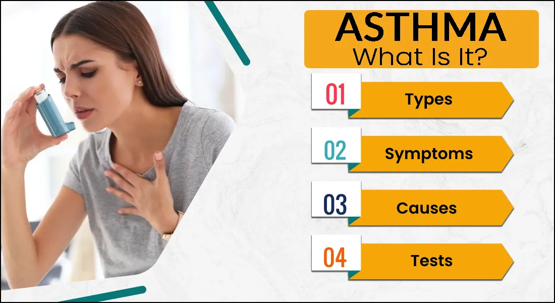 Asthma: What Is It? Types, Causes, Symptoms, Test